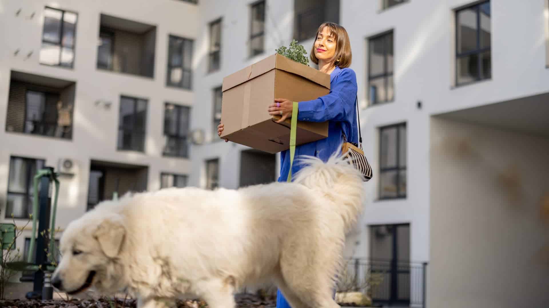 A woman in a blue outfit carrying a cardboard box with a potted plant stands in front of a modern apartment building. She is smiling and has a large white dog on a leash walking beside her. The background shows several windows and balconies of the building.