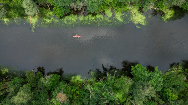 An aerial view of a narrow, winding river surrounded by dense, vibrant green forest. A lone kayaker in a red kayak paddles down the center of the river, creating gentle ripples in the water. The lush foliage along the riverbanks adds to the scene's serene and picturesque quality.