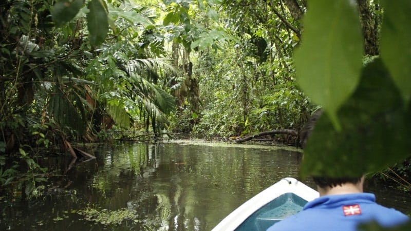A view from a small boat navigating through a narrow, winding waterway in a dense tropical forest. The water is calm and surrounded by lush greenery, with large leaves and thick vegetation hanging over the water. In the foreground, the back of a person wearing a blue shirt with a red and white patch is visible.